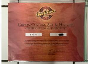 Gibson Les Paul Pre Historic 1960 (76928)