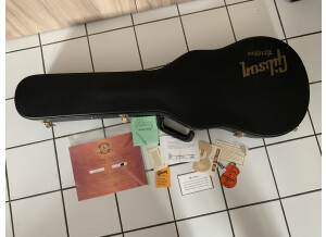 Gibson Les Paul Pre Historic 1960 (80438)