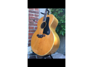 Epiphone FT-570