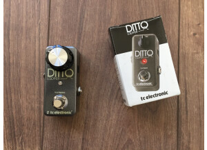 TC Electronic Ditto Looper (59380)