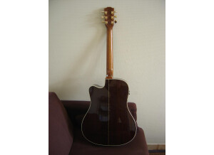 Gibson Songwriter Deluxe (34986)