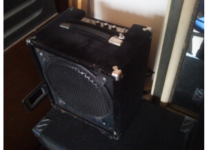 Polytone Mini Brute II (43730)