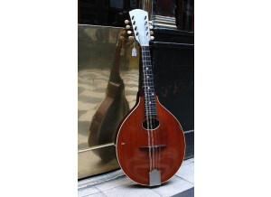 Gibson Style A (1917) (79167)