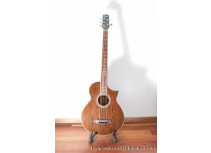 Ibanez EWB205WNE - Natural