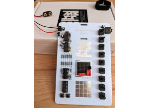 Dirty Electronics mute synth 2