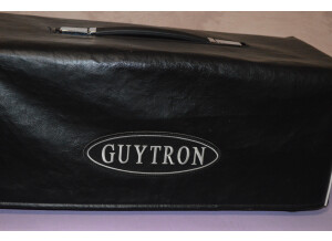 Guytron GT20