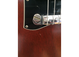 Gibson SG Signature Pete Townshend (29099)