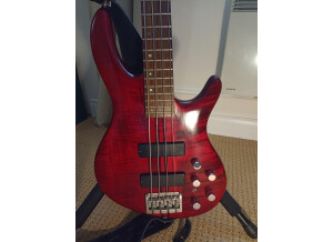 IMG 20221113 083249524