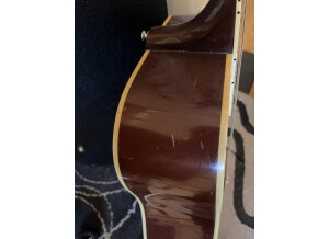 Gibson Hummingbird (25133)