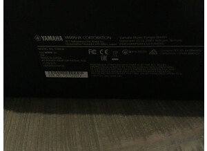 Yamaha THR10II (75597)