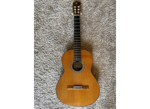 Alhambra Guitars 6 P