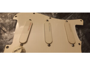 Fender Strat Plus [1987-1999] (73944)
