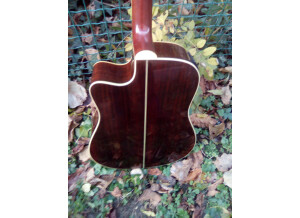 Tanglewood TW28 ST RCE (98078)