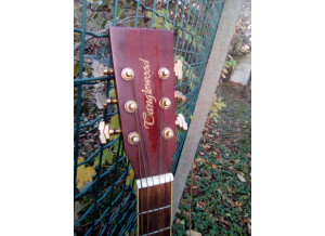 Tanglewood TW28 ST RCE (90294)