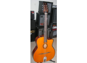 Nash Acoustic Guitar NH-60 (82247)