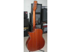 Nash Acoustic Guitar NH-60 (34290)