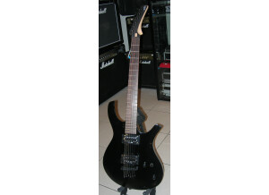 Parker Guitars PDF50