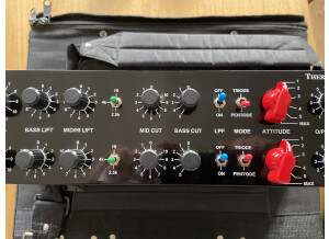Thermionic Culture The Rooster (9801)