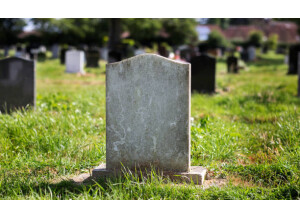 Korg Drumlogue (40192)