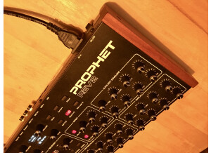Dave Smith Instruments Prophet Rev2 Module 8 voix (22815)