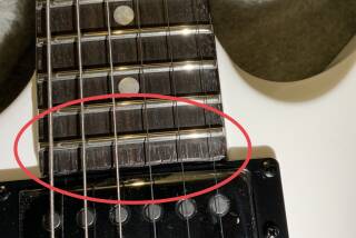 LTD Snakebyte James Hetfield