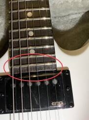 LTD Snakebyte James Hetfield
