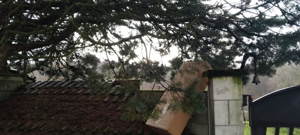 5536933.jpg 5536933.jpg