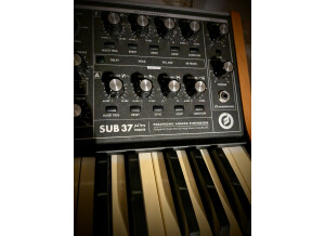 Moog Music SUB 37 (58662)