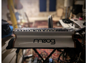 Moog Music SUB 37 (45354)