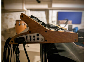 Moog Music SUB 37 (90550)