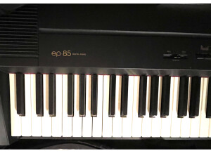Roland EP-85 (339)