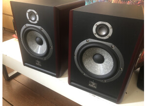 Focal Solo6 Be (30828)