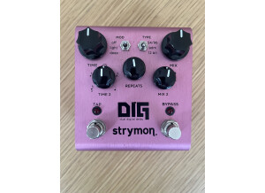 Strymon DIG (39766)
