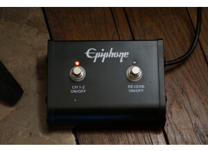 Epiphone Blues Custom (63271)