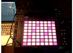 Ableton Push 2 (79599)