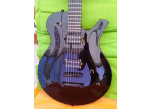Parker Guitars Pm10 - Noir