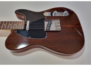Fender Tele-Bration Lite Rosewood Telecaster (97724)