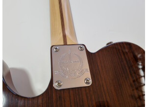 Fender Tele-Bration Lite Rosewood Telecaster (28931)