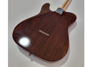 Fender Tele-Bration Lite Rosewood Telecaster (93305)