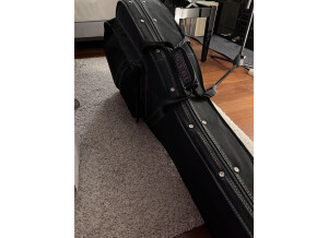 Tanglewood TW15 NS (66846)