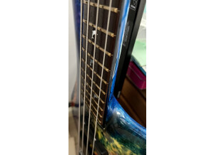 Warwick Dolphin Pro I 4 (16679)