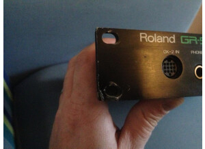 Roland GR-50 (22290)