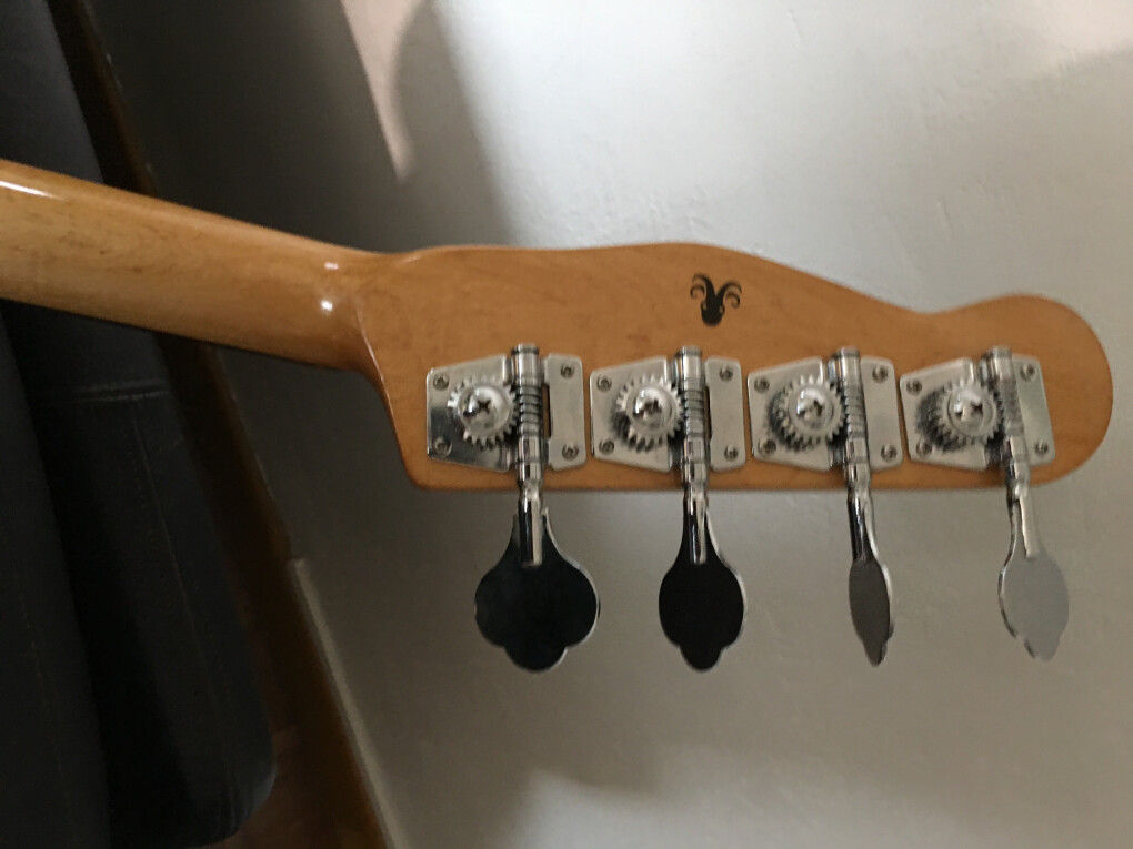 5544852.jpeg 5544852.jpeg