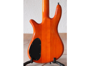 Spector NS 2000/5 (40931)