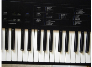 Korg Ds8 (2315)