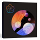 Insight 2 Insight 2