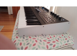 Ashun Sound Machines Hydrasynth Keyboard (69561)