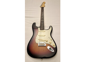 Fender American Professional Stratocaster (13206)