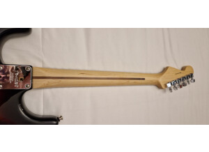 Fender American Professional Stratocaster (81863)