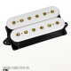 DP159 Evolution Bridge DP159 Evolution Bridge
